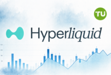 Photo of Безопасность Hyperliquid: как фишинговый дрейнер украл $12 000 у пользователя HyperSwap