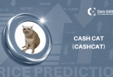 Photo of Прогноз цены Cash Cat: Является ли скачок OI CASHCAT на 355% началом чего-то или вершиной