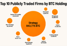 Photo of Топ-10 публичных компаний по объему запасов BTC раскрывают существование влиятельного блока, владеющего миллионом биткойнов