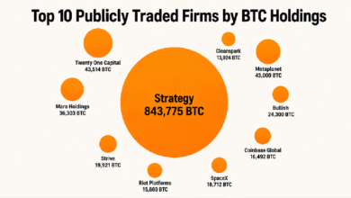 Photo of Топ-10 публичных компаний по объему запасов BTC раскрывают существование влиятельного блока, владеющего миллионом биткойнов