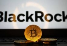 Photo of Blackrock привлек 204 млн долларов на фоне положительного итога недели для биткоин-ETF