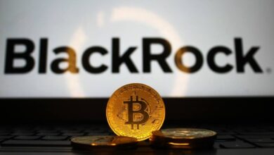 Photo of Blackrock привлек 204 млн долларов на фоне положительного итога недели для биткоин-ETF