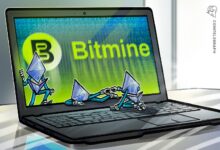 Photo of Bitmine 14 месяцев подряд сохраняет темп покупок эфира после его роста выше $2500 тыс.