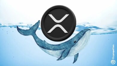 Photo of Крупные держатели XRP продолжают наращивать свои позиции, несмотря на ценовые трудности в 2026 году