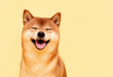 Photo of Dogecoin подшутил над «Человеком-пауком»: мемкоину нужны еще 11 таких премьер