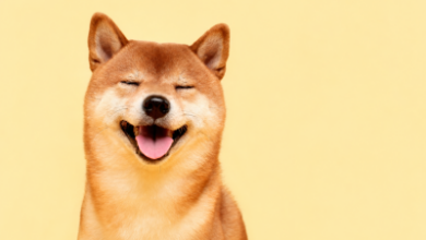 Photo of Dogecoin подшутил над «Человеком-пауком»: мемкоину нужны еще 11 таких премьер