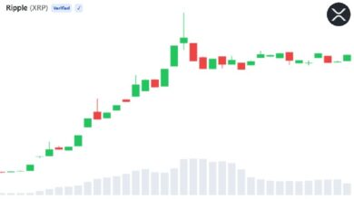 Photo of Объем торгов ETF на XRP от Bitwise превысил 200 млн долларов за три торговые сессии