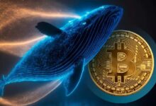 Photo of CryptoQuant: Крупные инвесторы покупают Bitcoin, Ethereum и XRP, медвежий рынок, возможно, приближается к своей финальной стадии!