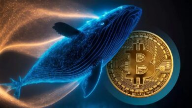 Photo of CryptoQuant: Крупные инвесторы покупают Bitcoin, Ethereum и XRP, медвежий рынок, возможно, приближается к своей финальной стадии!