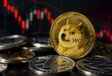 Photo of Плохие новости от компании, накопившей большое количество Dogecoin (DOGE)!