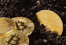 Photo of Cipher и Hyperscale продолжают распродажу BTC для финансирования перехода на искусственный интеллект