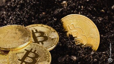 Photo of Cipher и Hyperscale продолжают распродажу BTC для финансирования перехода на искусственный интеллект
