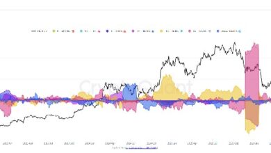 Photo of Эта группа компаний, использующих BTC, демонстрирует самые высокие темпы накопления капитала в 2026 году