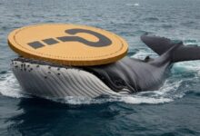 Photo of Пока биткоин (BTC) падал, крупные инвесторы не бездействовали; они меняли свои позиции: вот альткоины, которыми они торговали…