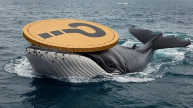 Photo of Пока биткоин (BTC) падал, крупные инвесторы не бездействовали; они меняли свои позиции: вот альткоины, которыми они торговали…