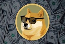 Photo of Аналитик утверждает, что Dogecoin может пережить рост! «Подобный тому, что был в 2022 году…»