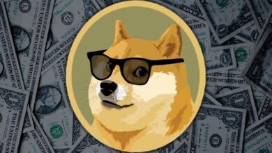Photo of Аналитик утверждает, что Dogecoin может пережить рост! «Подобный тому, что был в 2022 году…»