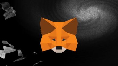Photo of Команда MetaMask расширила доступ к кошельку для ИИ-агентов