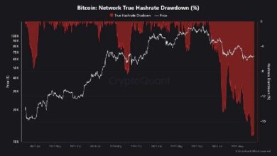 Photo of Хешрейт биткоина снизился на 17 % по сравнению с рекордным показателем, поскольку майнеры переключаются на ИИ
