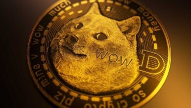 Photo of Уолл-стритский гигант отвечает на критику в адрес Dogecoin (DOGE)