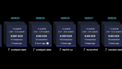Photo of Форк биткоина ECX, созданный Полом Шторцем, преодолел отметку в 25 000 блоков всего за 13 часов