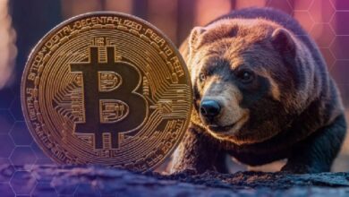 Photo of Криптовалютная биржа Bitfinex объявила, что биткоин близок к выходу из медвежьего рынка!