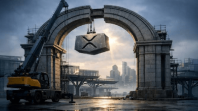 Photo of XRP-мост был опустошен на $200 000 после того, как программное обеспечение ошибочно приняло фиктивные депозиты за реальные