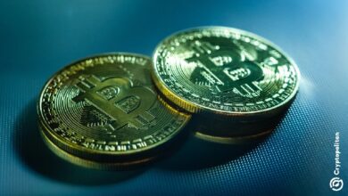Photo of Bitcoin держится около отметки в 64 000 долларов, поскольку спонсоры BTCPay пообещали выплатить вознаграждение за 3 уязвимости в BTC