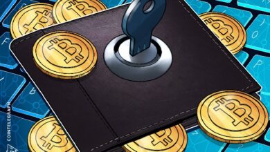 Photo of BitBox устранила «серьёзные» уязвимости кошельков, которые могли поставить средства под угрозу
