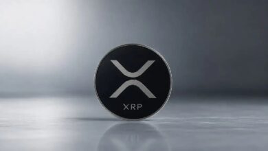 Photo of В поведении крупных китов, использующих XRP, наблюдаются необычные движения