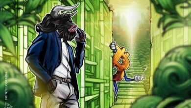 Photo of eToro приобретёт TradeZero на фоне падения криптовалютной выручки на 30%