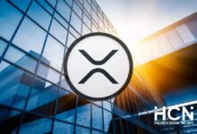 Photo of Крупные владельцы XRP лидируют по оттоку токенов с криптобиржи Binance