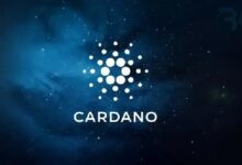 Photo of Активность в сети Cardano выросла на 33%