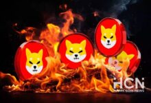 Photo of Скорость сжигания SHIB выросла на 439% после уничтожения 10 млн токенов