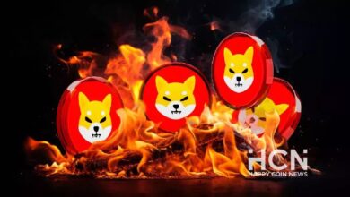 Photo of Скорость сжигания SHIB выросла на 439% после уничтожения 10 млн токенов