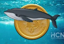 Photo of Количество биткоин-кошельков, содержащих 10,000 BTC, достигло 6-месячного максимума