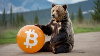 Photo of Заканчивается ли медвежий рынок биткоина? Компания Grayscale проводит анализ, выделяя 3 важнейших фактора для BTC!