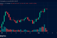 Photo of «Crypto Weekly»: ADA и монеты, ориентированные на конфиденциальность, демонстрируют лучшую динамику, в то время как XRP падает