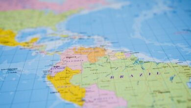 Photo of «Latam Insights»: токенизированные коровы в Бразилии, реальность денежных переводов в Сальвадоре и законопроект об криптовалютах в Аргентине