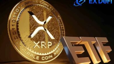 Photo of В спотовый ETF XRP поступило более 1,56 миллиарда долларов, а цены выросли на 70%. Как держатели могут зарабатывать 5500 долларов в день?