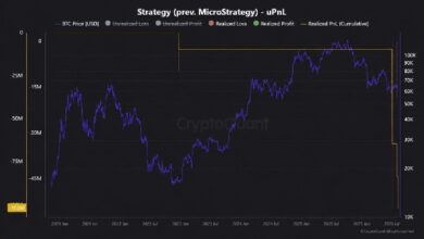 Photo of По данным Cryptoquant, стратегия Сэйлора принесла убытки в размере 102 млн долларов в биткойнах