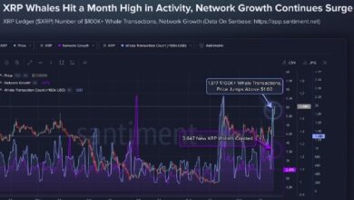 Photo of Курс XRP превысил 1,60 доллара, а количество транзакций «китов» (1 917) достигло месячного максимума