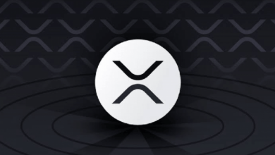 Photo of В XRP Ledger меньше активных аккаунтов, чем в прошлом году, но объемы сделок и стоимость активов значительно выросли