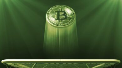 Photo of Биткоин (BTC) взлетает, снова преодолев отметку в 80 000 долларов! Альткоины стали более волатильными! Вот самые быстрорастущие альткоины и причины их роста