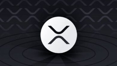 Photo of XRP выходит в большой спорт: логотип криптовалюты появился на форме команды Канзаса