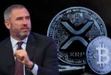 Photo of Генеральный директор Ripple Брэд Гарлингхаус представил пятилетнюю стратегию развития криптовалют! В списке — Bitcoin, XRP и три альткоина! Подробности