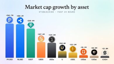 Photo of RLUSD от Ripple осталось всего 248 млн долларов, чтобы обогнать стейблкоин PayPal