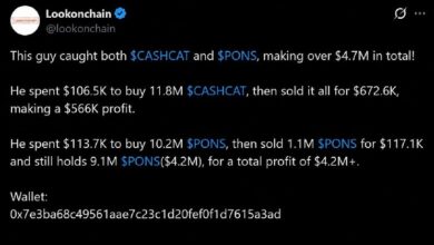 Photo of Как CASHCAT и PONS превратили 220 тыс. долларов в 4,7 млн долларов на Robinhood Chain