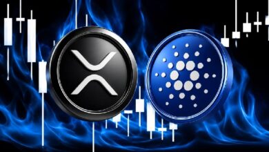 Photo of Опытный аналитик утверждает, что существуют бычьи сигналы для Cardano (ADA) и Ripple (XRP)