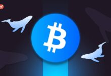Photo of Santiment: крупные игроки накопили почти 114 000 BTC с июля
